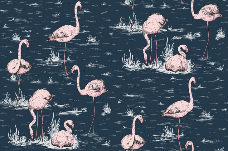 Flamingos Wallcovering by Cole & Son 