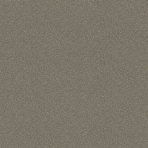 Goldstone Wallcovering by Cole & Son