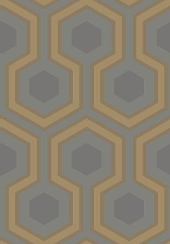 Hicks' Grand Wallcovering by Cole & Son