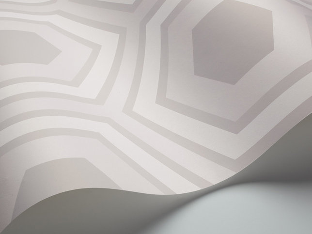 Hicks' Grand Wallcovering by Cole & Son