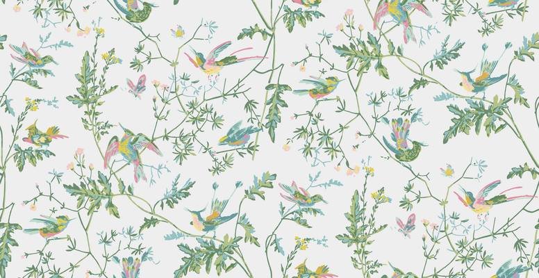 Hummingbirds Wallcovering by Cole & Son 