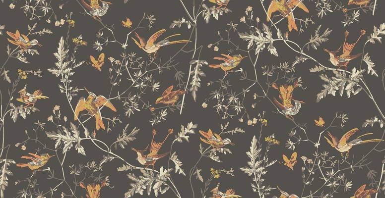 Hummingbirds Wallcovering by Cole & Son 
