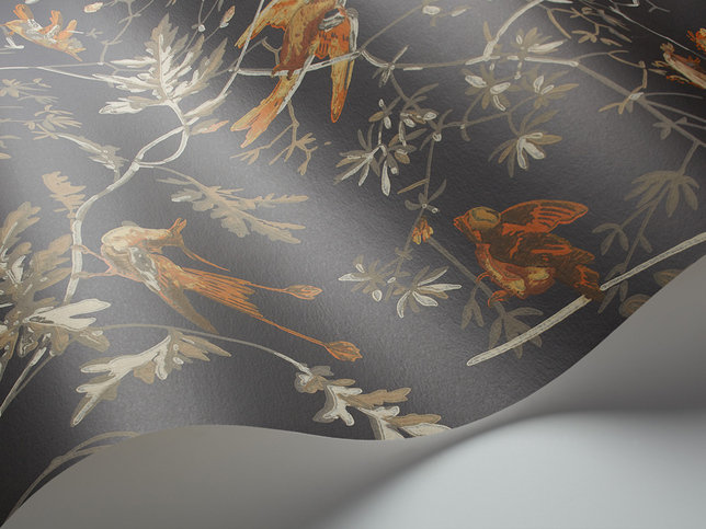 Hummingbirds Wallcovering by Cole & Son 