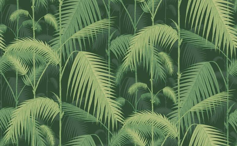 Palm Jungle Wallcovering by Cole & Son 