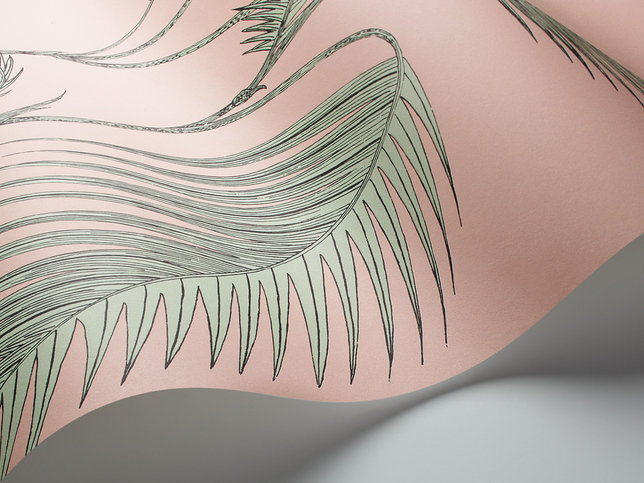 Palm Leaves Wallcovering by Cole & Son 