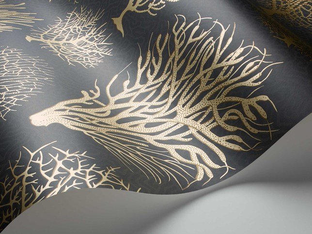Seafern Wallcovering by Cole & Son