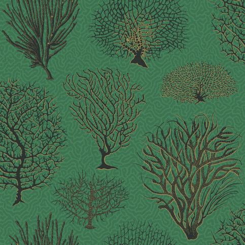 Seafern Wallcovering by Cole & Son
