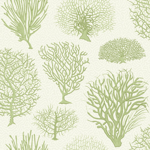 Seafern Wallcovering by Cole & Son
