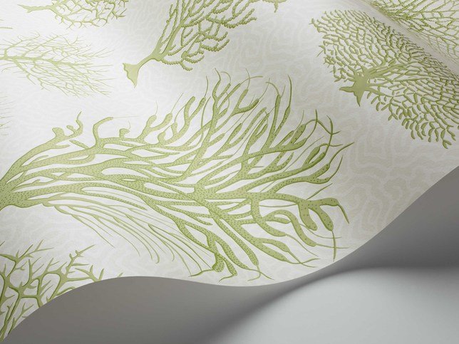 Seafern Wallcovering by Cole & Son