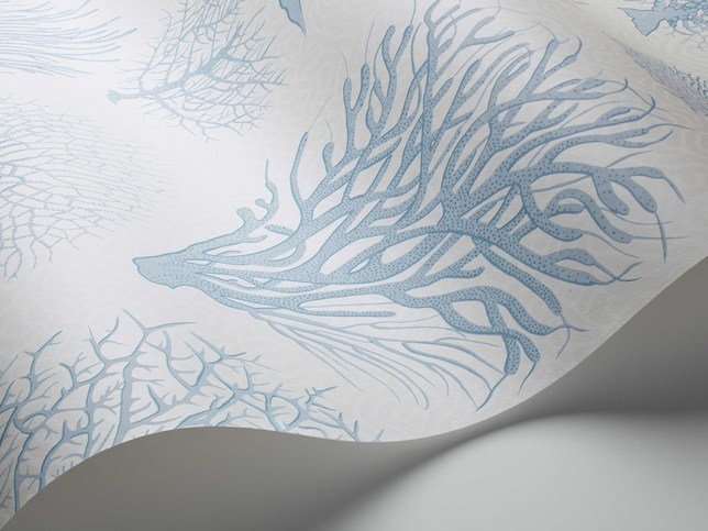 Seafern Wallcovering by Cole & Son