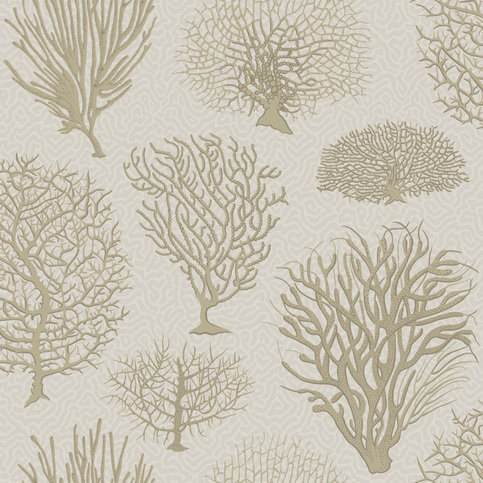 Seafern Wallcovering by Cole & Son