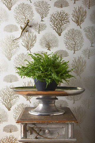 Seafern Wallcovering by Cole & Son