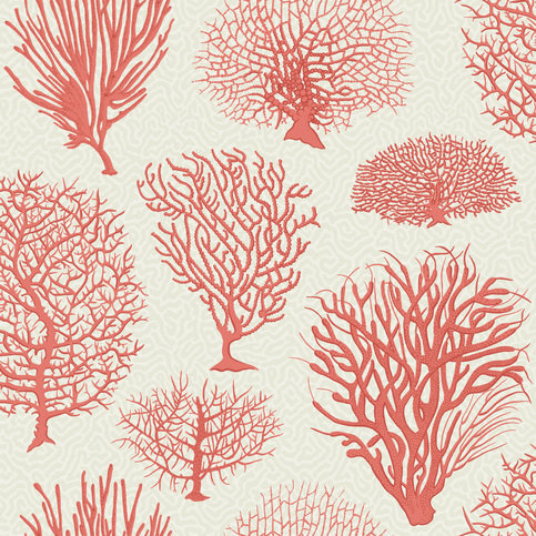 Seafern Wallcovering by Cole & Son