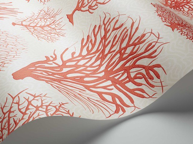 Seafern Wallcovering by Cole & Son