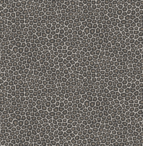 Senzo Spot Black and White Wallcovering by Cole & Son 