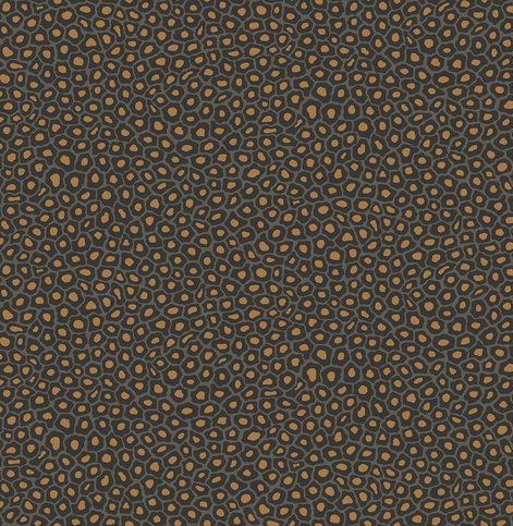 Senzo Spot Charcoal Wallcovering by Cole & Son 