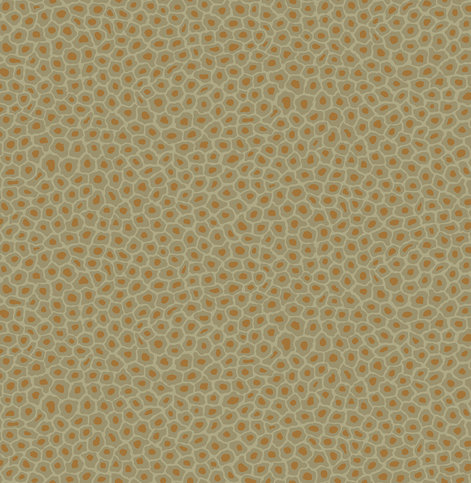 Senzo Spot Olive Wallcovering by Cole & Son 