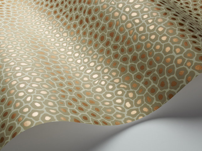 Senzo Spot Olive Wallcovering by Cole & Son 