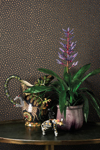 Senzo Spot Tan Wallcovering by Cole & Son 