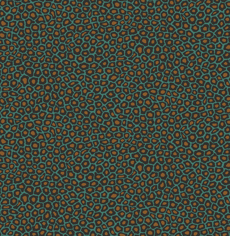 Senzo Spot Teal Wallcovering by Cole & Son 