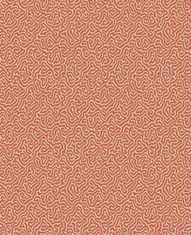 Vermicelli Wallcovering by Cole & Son