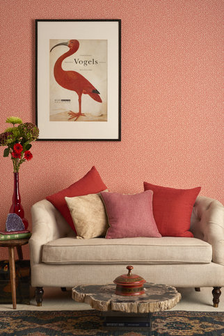 Vermicelli Wallcovering by Cole & Son