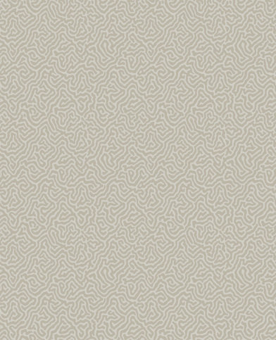 Vermicelli Wallcovering by Cole & Son