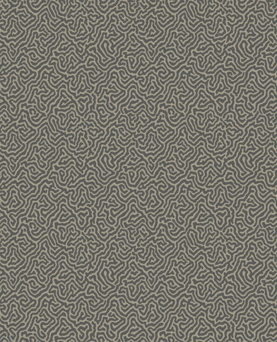 Vermicelli Wallcovering by Cole & Son
