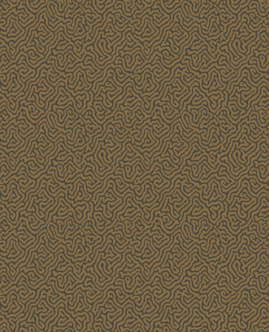 Vermicelli Wallcovering by Cole & Son