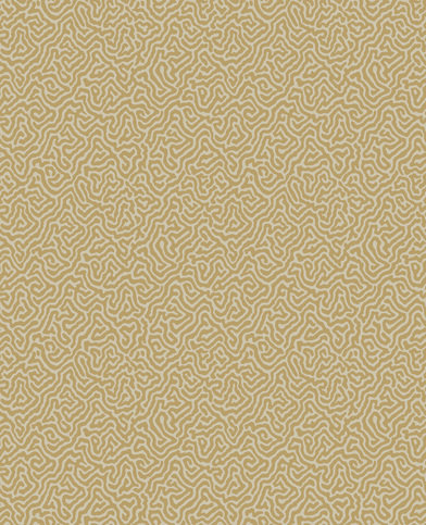 Vermicelli Wallcovering by Cole & Son
