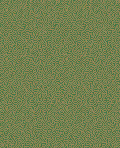 Vermicelli Wallcovering by Cole & Son