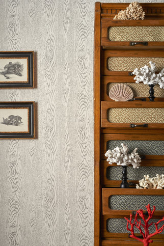 Woodgrain Wallcovering by Cole & Son