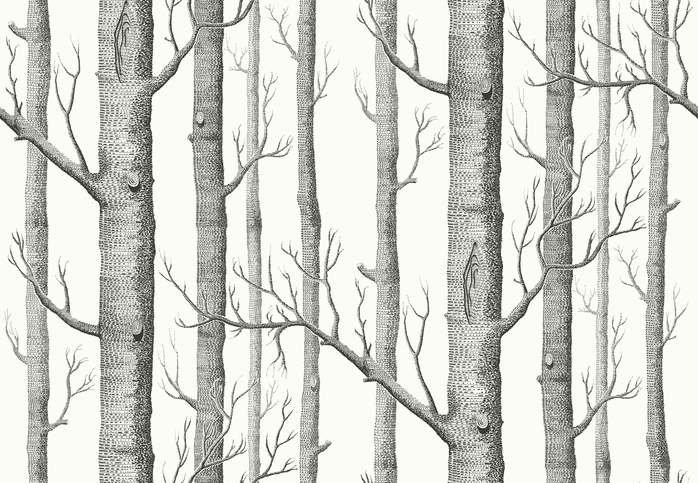 Woods Linen Union Fabric by Cole & Son 