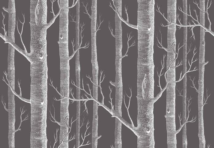 Woods Linen Union Fabric by Cole & Son 