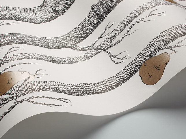 Woods & Pears Wallcovering by Cole & Son