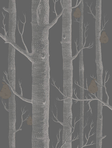 Woods & Pears Wallcovering by Cole & Son