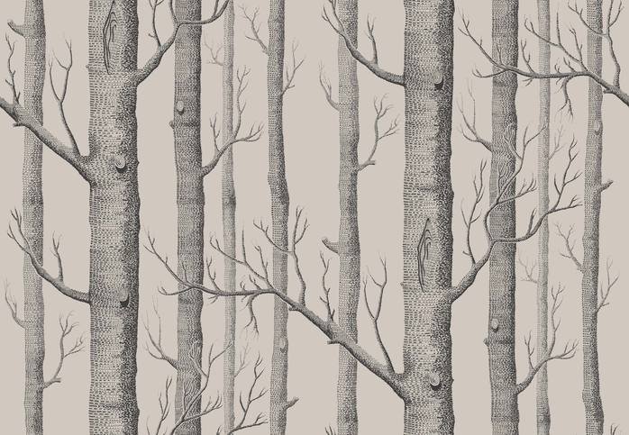 Woods Wallcovering by Cole & Son 