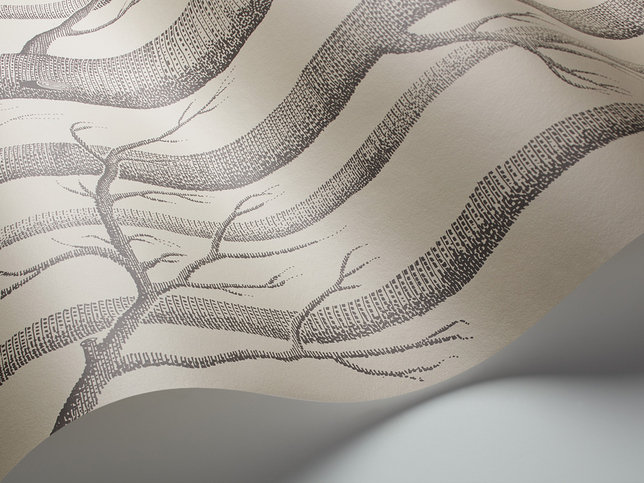 Woods Wallcovering by Cole & Son 