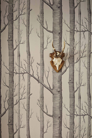 Woods Wallcovering by Cole & Son 