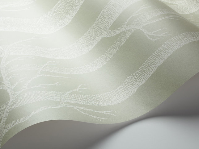 Woods Wallcovering by Cole & Son 