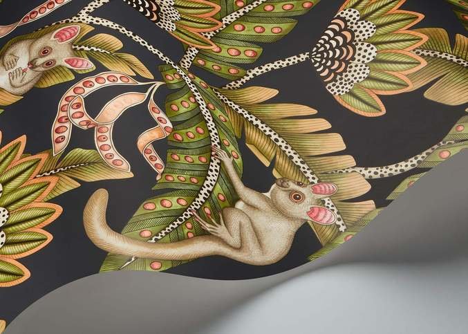 Bush Baby Wallcovering by Cole & Son 