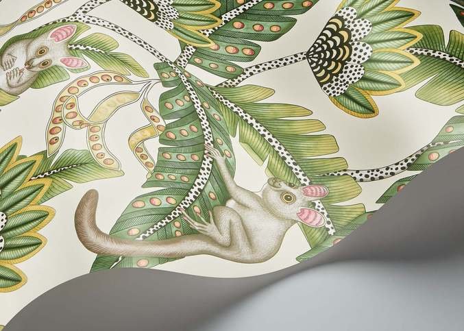 Bush Baby Wallcovering by Cole & Son 