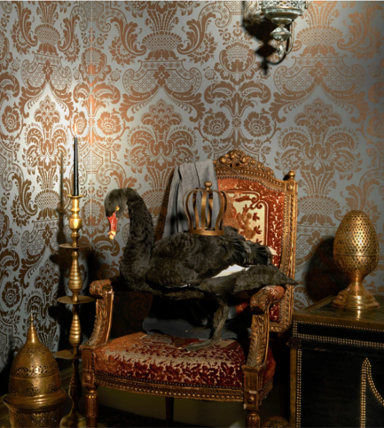Carmen Metallic Bronze on Charcoal Wallcovering by Cole & Son 