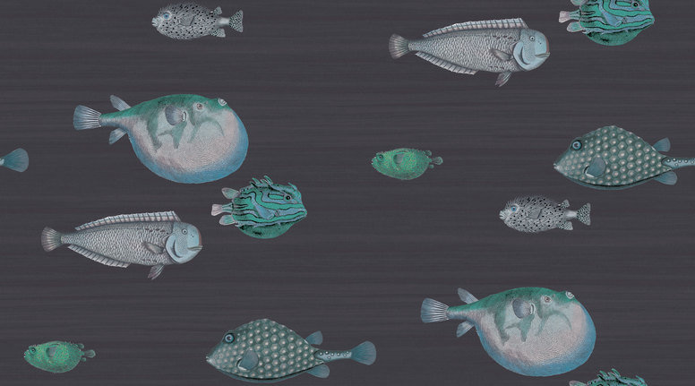Acquario Wallcovering by Cole & Son 