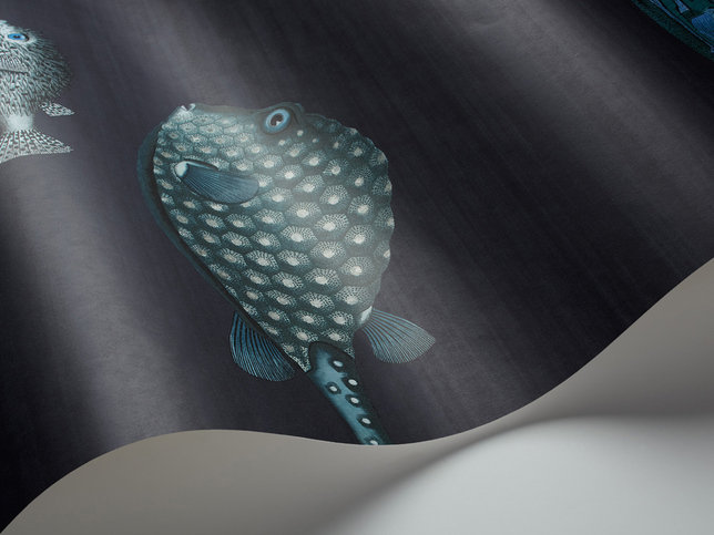 Acquario Wallcovering by Cole & Son 
