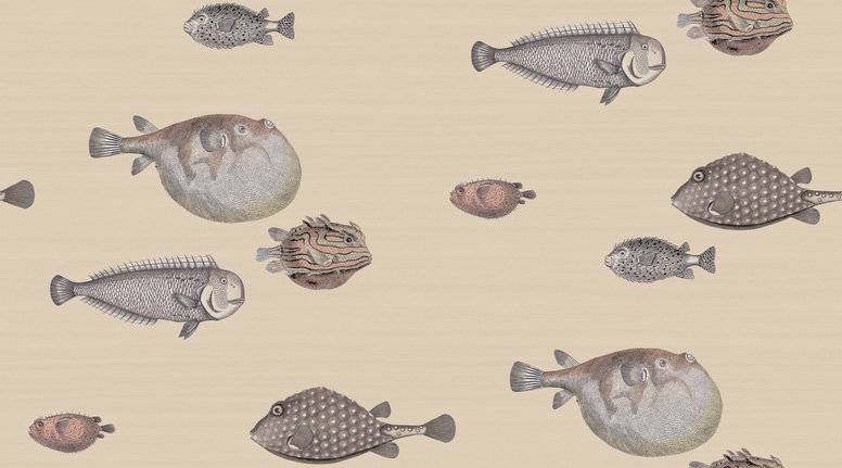 Acquario Wallcovering by Cole & Son 