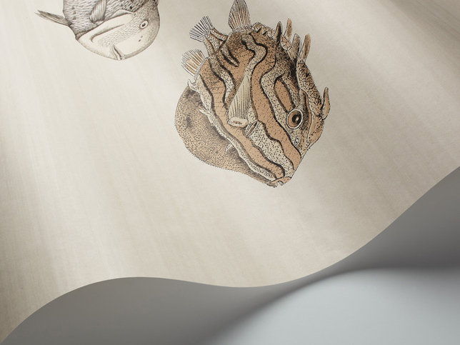 Acquario Wallcovering by Cole & Son 