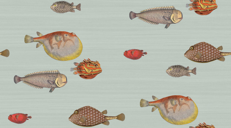 Acquario Wallcovering by Cole & Son 