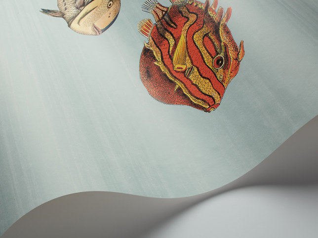 Acquario Wallcovering by Cole & Son 