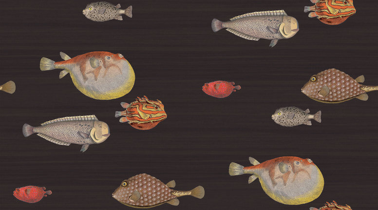 Acquario Wallcovering by Cole & Son 